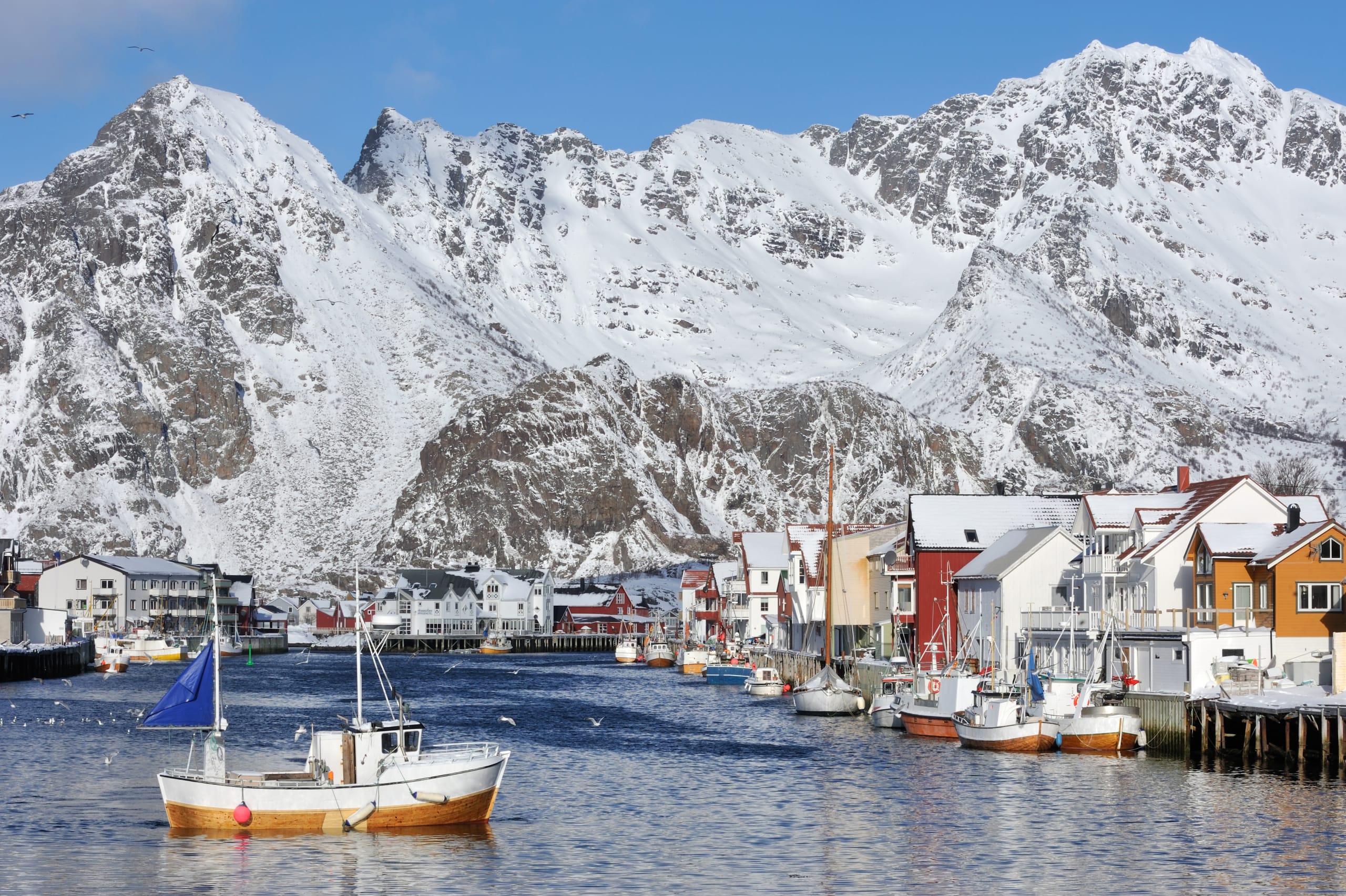 9 reasons to visit Lofoten in the winter time